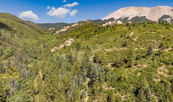 County Rd 46, Aguilar, CO 81020