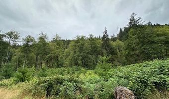 2 Dubois Rd, Ariel, WA 98603