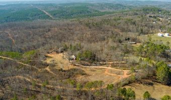 170 Sperin Cabinet Rd, Ball Ground, GA 30107