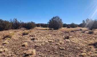251 Se4 Juniperwood Rnch, Ash Fork, AZ 86320