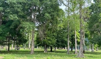 Tbd CORKWOOD LANE, Astatula, FL 34705