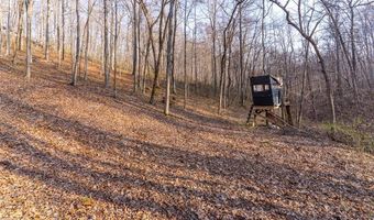 4376 Highway BB, Annapolis, MO 63620