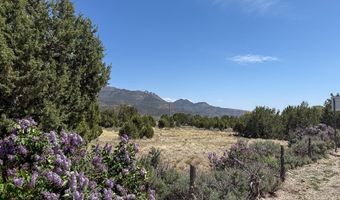 425 E Mule Deer Rd, Central, UT 84722