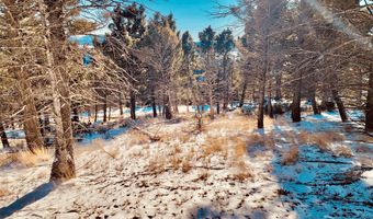 Mining Claim Access, Basin, MT 59631