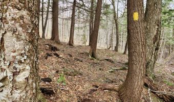 0 Clarks/Woodland Trl 409-4, Alexandria, NH 03220