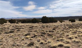 15 County Rd N8641, Concho, AZ 85924