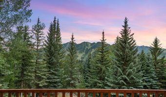 247 Willoughby Way, Aspen, CO 81611