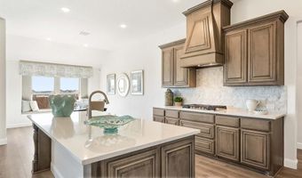 2005 Amber Gate Dr, Anna, TX 75409