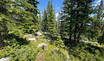 NHN Cataract Creek, Basin, MT 59631