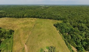 N County Road 113, Alton, MO 65606