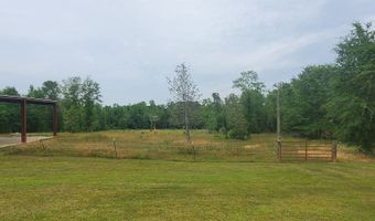 762 Old McLeod Brg, Adrian, GA 31002