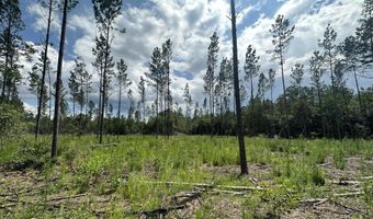Parcel A Yellow River Baptist Church Road 22 Ac+/-, Baker, FL 32531