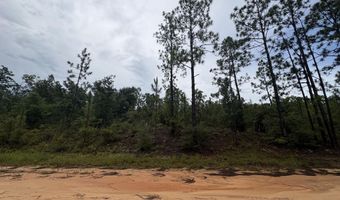 Odum Street lot 29, Alford, FL 32420