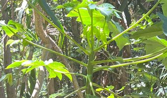 2762 Hana Hwy Lot Cpr B, Haiku, HI 96708