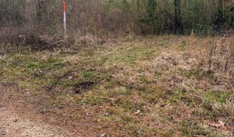 Jack Road, Braxton, MS 39044