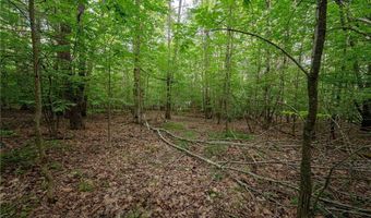 County Road 2, Addison, NY 14801