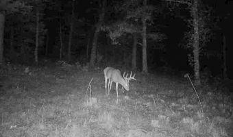 3968 Highway 167, Ash Flat, AR 72513