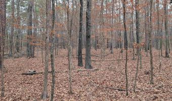 Lots B & C Miller Road, Camden, SC 29020