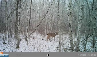 9401 Samuelson, Angora, MN 55703