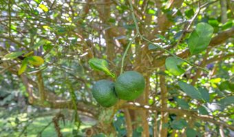 4685 Uakea Rd, Hana, HI 96713