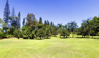 29-3707 KANNA Rd, Hakalau, HI 96710