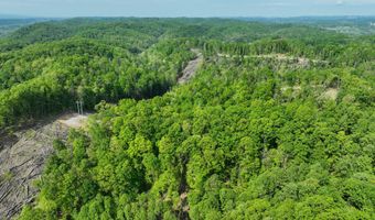 Tbd Green Springs Road, Abingdon, VA 24211