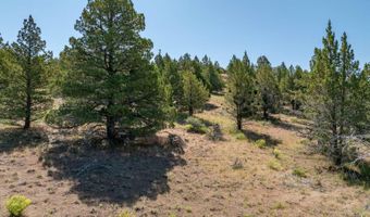 1167 Grande Rd, Alturas, CA 96101