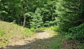 21 Collett Woods Trl Lot #21, Andrews, NC 28901