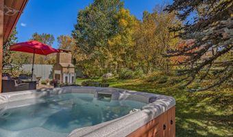 437 Allison Ln, Basalt, CO 81621