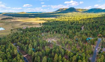 7 Eric Ln, Alpine, AZ 85920