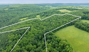 000 Bear Ridge Rd, Albright, WV 26519