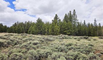 700 Looney Ln Lot 0, Alma, CO 80420
