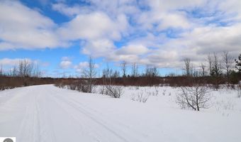 6436 Lora Bette Dr, Alanson, MI 49706