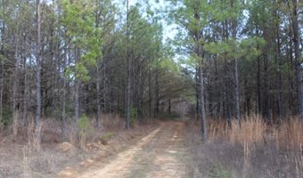 120 Collier Rd, Hickory Flat, MS 38633