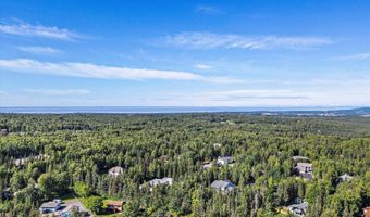 10151 Evergreen Tree St, Anchorage, AK 99507