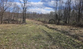 295 Shellstone Rd, Amsterdam, NY 12010