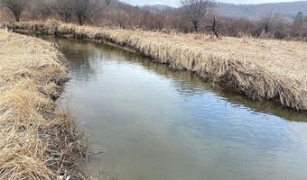 Cr-38, Alma, NY 14708