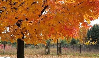 10039 McPherson Rd, Alden, MI 49612