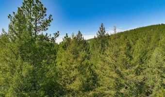 Nna Coyote Pass Road, Blanchard, ID 83804