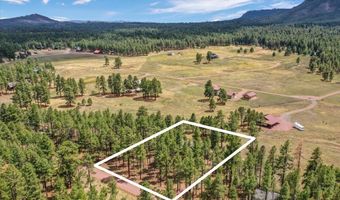 24 County Rd 2079, Alpine, AZ 85920