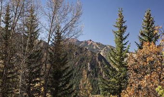 1036 Red Mountain Rd, Aspen, CO 81611