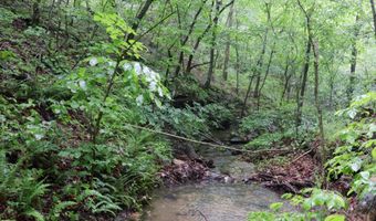 14 5 Neil Robinson Rd, Anderson, MO 64831