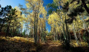 1 The Ranch At Angel Fire, Angel Fire, NM 87710