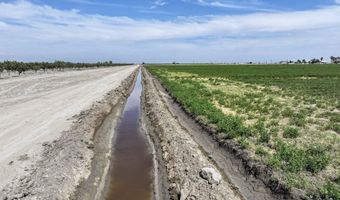 Road 38, Alpaugh, CA 93201