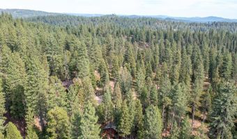 2110 Silverado Way, Arnold, CA 95223