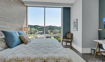 7 Patton Ave 1103, Asheville, NC 28801