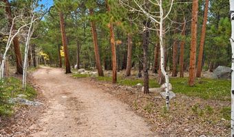 County Road 84 W, Allenspark, CO 80510