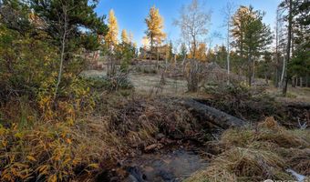 1997 Big Owl Rd, Allenspark, CO 80510