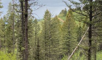 400 GROVER DRY FARM Rd, Afton, WY 83110