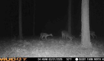 U.S. Highway 51, Bogue Chitto, MS 39629